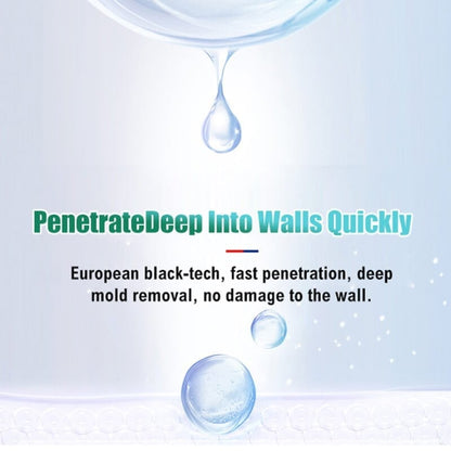 Mould & Mildew Removing Foam Spray
