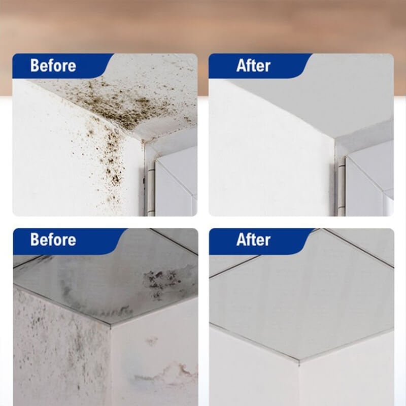 Mould & Mildew Removing Foam Spray