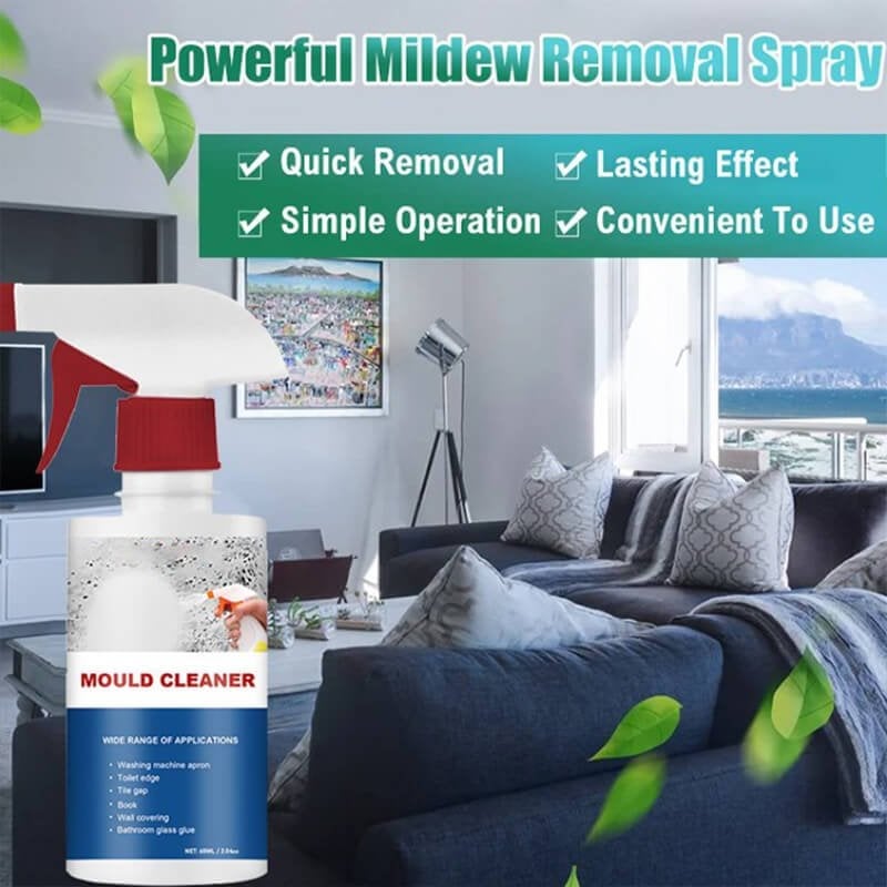 Mould & Mildew Removing Foam Spray