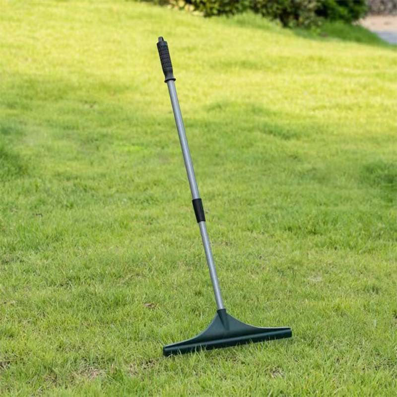 Multi-Purpose Lawn & Carpet Grooming Rake 🔄 2-in-1: Dethatch Lawns & Groom Carpets Effortlessly ✨